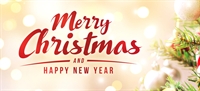 Christmasny2